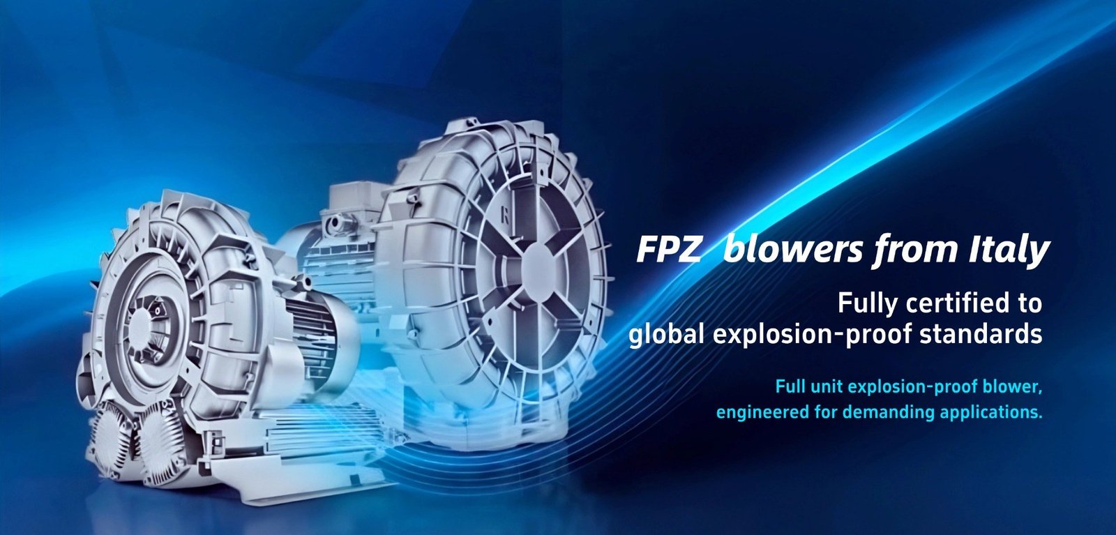 Explosion proof blowers