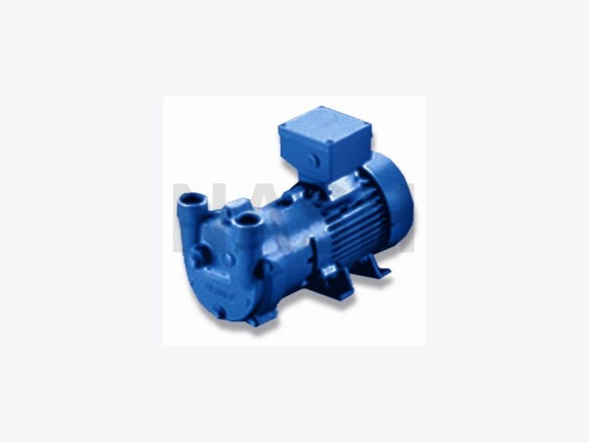 NASH 2BV3 Liquid Ring Vacuum Pump - industrial unit