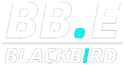 BB.E Blackbird industrial blowers and vacuum pumps