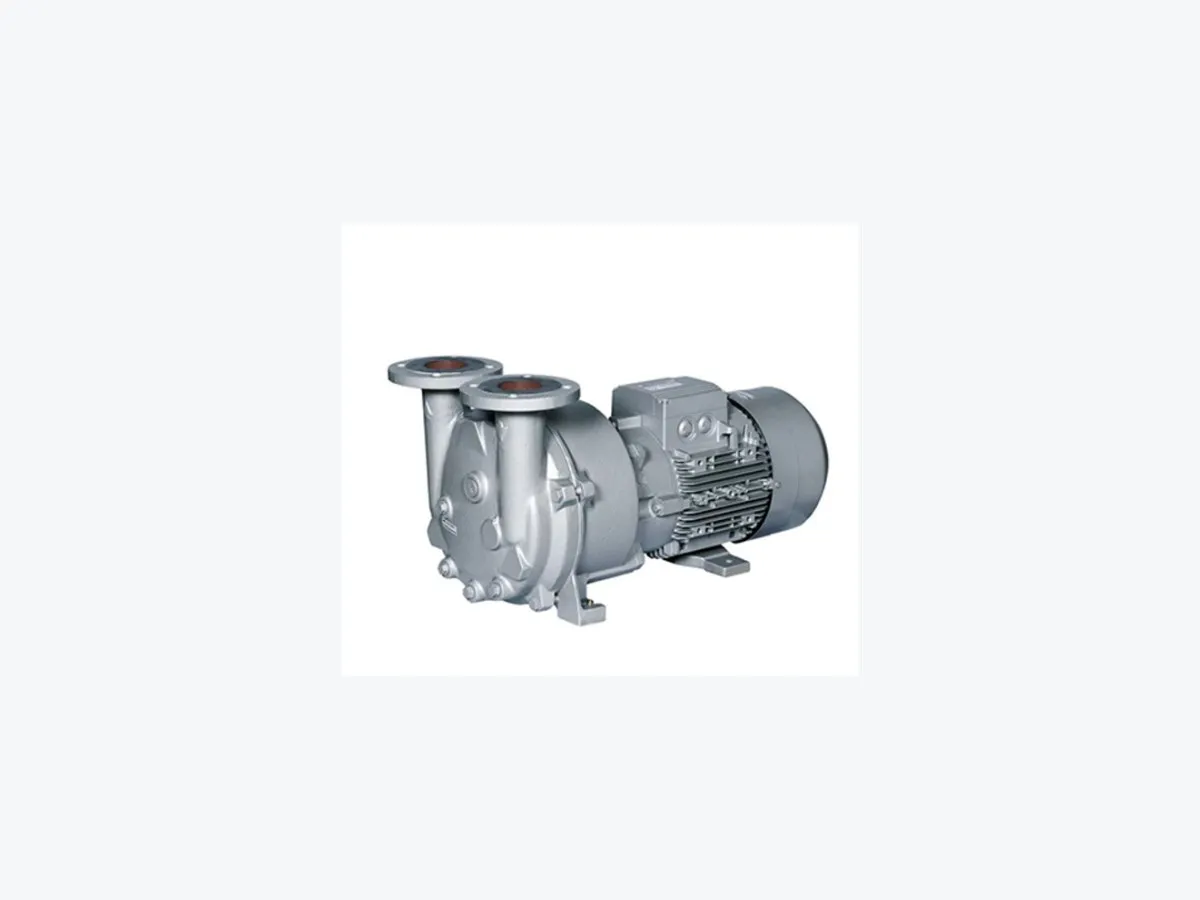 NASH 2BV2 liquid ring vacuum pump