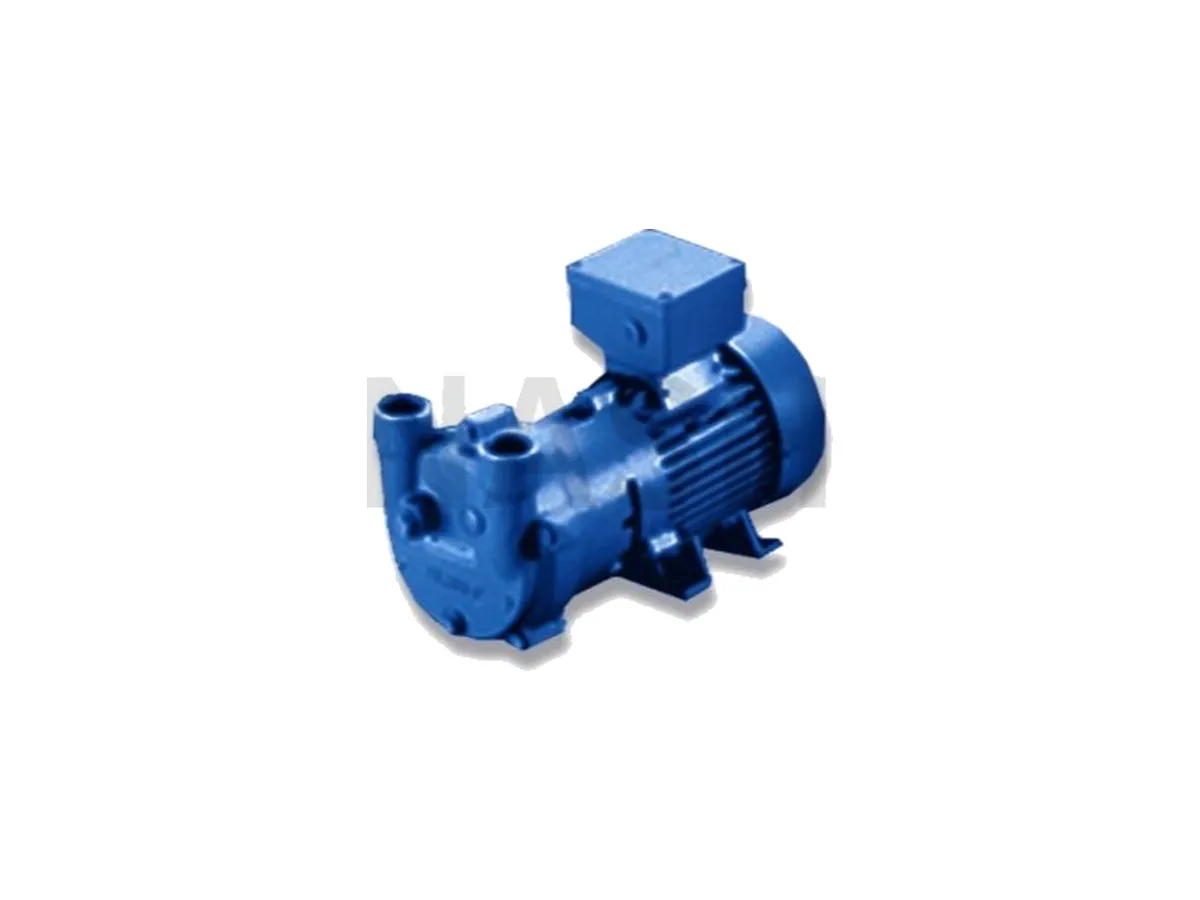 NASH 2BV3 Liquid Ring Vacuum Pump - industrial unit