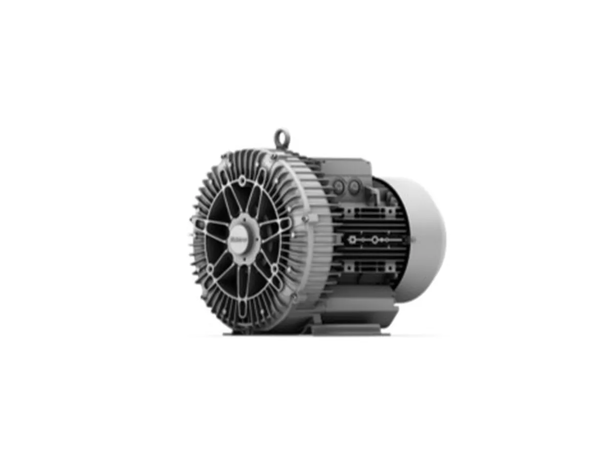 Elektror 1SD and 2SD side channel blowers